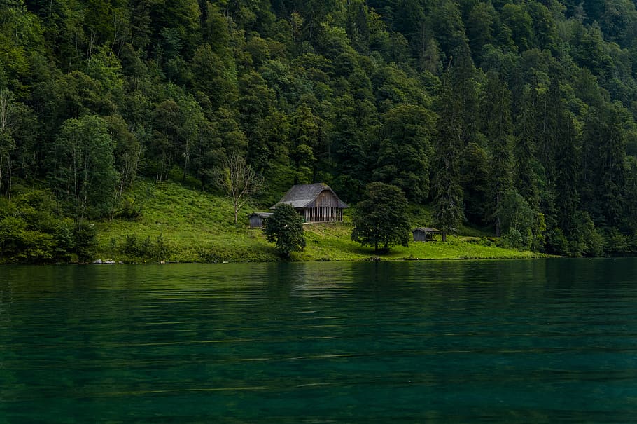 königssee, lake, water, blue-green water, nature, landscape, berchtesgaden, bergsee, idyllic, forest