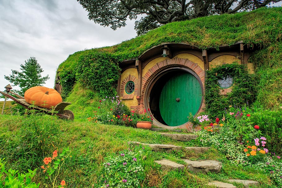 nature, summer, grass, travel, landscape, hobbit, movie set, hobbiton, plant, green color