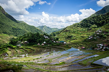 philippines-rice-terraces-batad-royalty-free-thumbnail.jpg