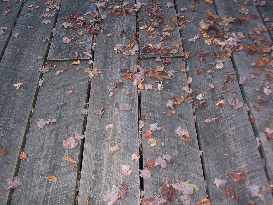 otoño, marrón, gris, hojas, tablones, madera, fotograma completo, fondos, madera - material, nadie