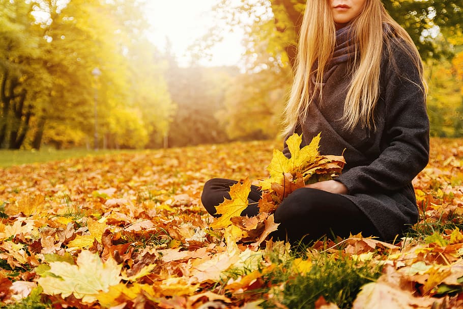 joven, mujer, sentado, caído, otoño, hojas, parque, una persona, árbol, planta
