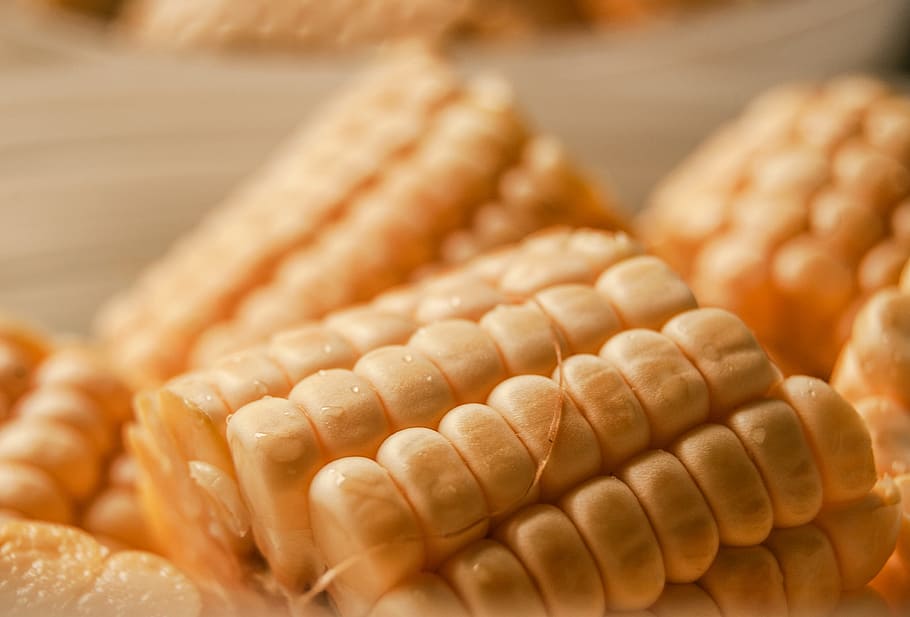corn, cob, vegetable, food, dish, yellow, corn on the cob, food and drink, close-up, freshness