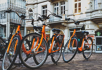 Fotos Alquiler De Bicicletas Libres De Regalias Pxfuel