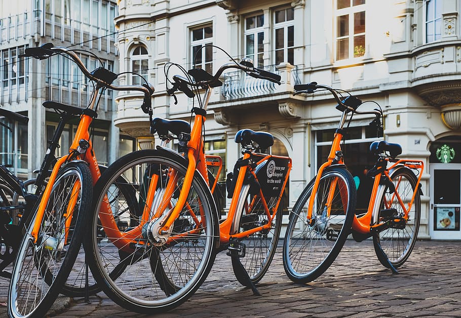 bike, wheel, cycling, tourism, leisure, means of transport, cycle, rent, bikes, rental bike