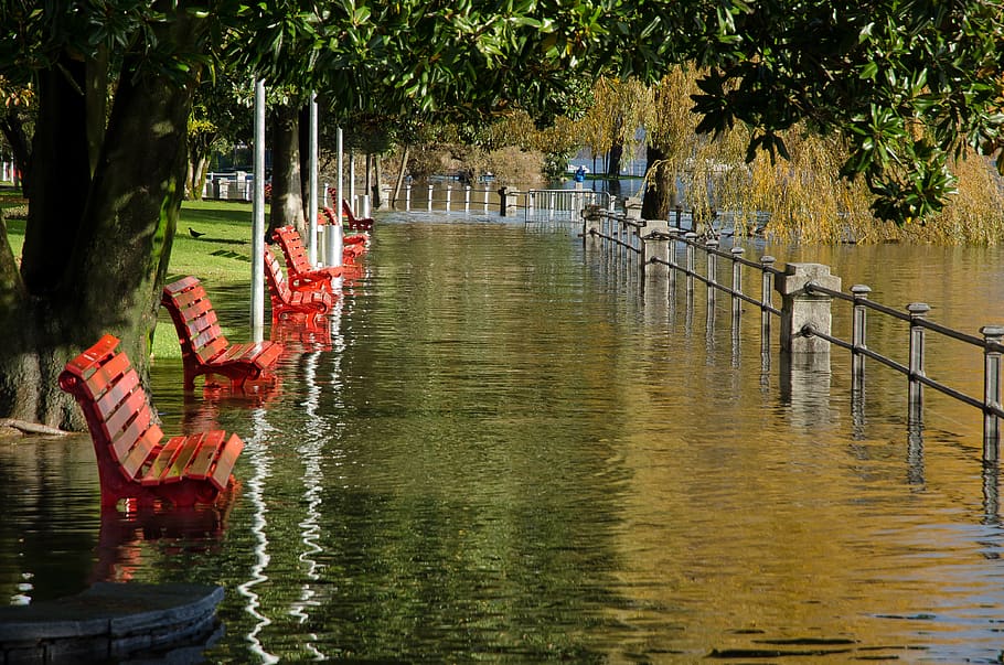 water, benches, nature, landscape, flood, tree, plant, nautical vessel, day, reflection