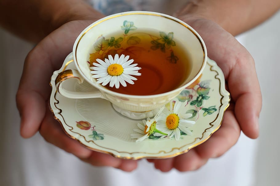 cup, tea, porcelain, drink, decor, break, still life, teatime, herbal tea, chamomile tea