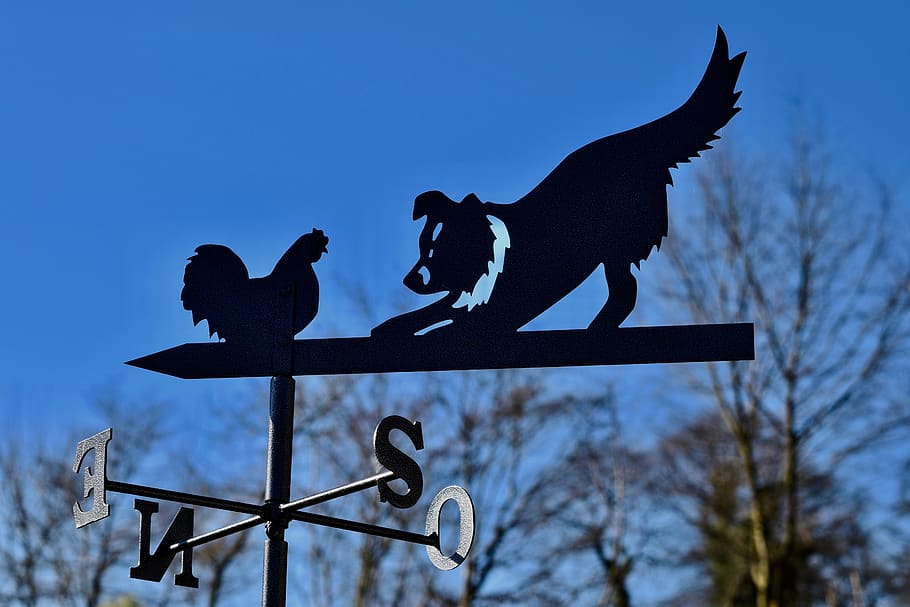 weather vane, vane forged metal, weather vane wrought iron, the 4 cardinal points, north, south east, west, blue sky, crafts, wind
