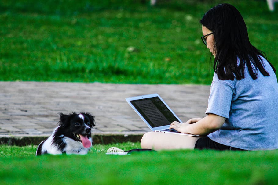 anjing, manusia, taman, luar, teman, istirahat, belajar, satu hewan, komputer, hewan domestik