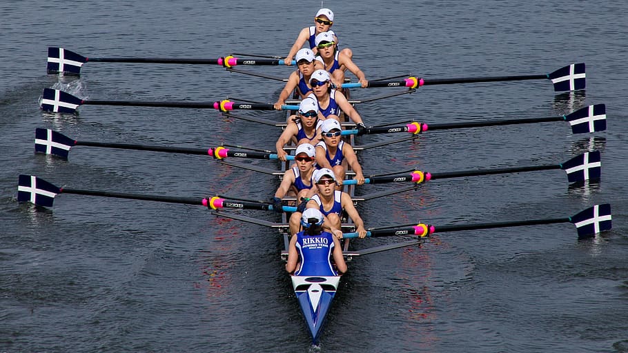 rowing, boat, sports, water, nautical vessel, sport, cooperation, transportation, teamwork, competition