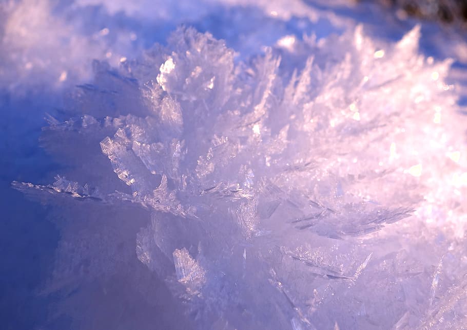 ice, crystals, frost, cold, eiskristalle, snow, nature, winter magic, macro, beauty in nature