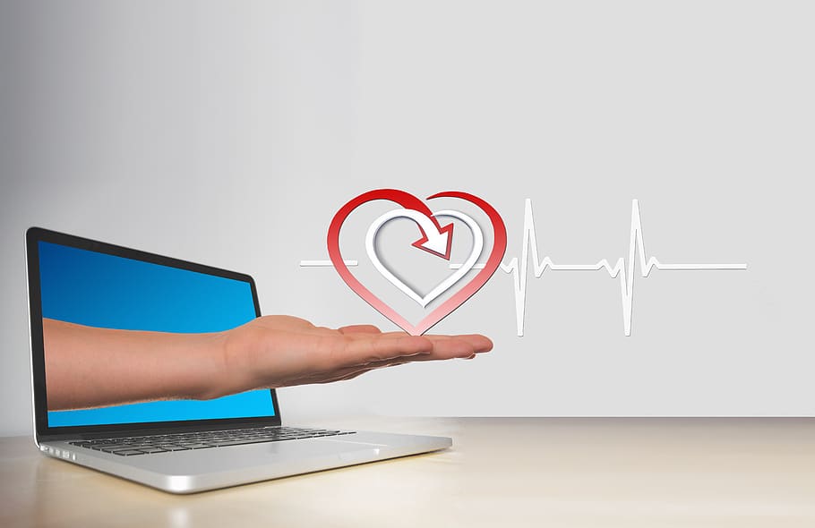 heart, curve, health, healthy, pulse, online, consulting, frequency, heartbeat, disease