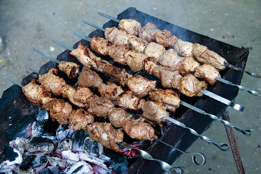 shish kebab, meat, mangal, frying, picnic, tasty, nutrition, coals, onion, colorful