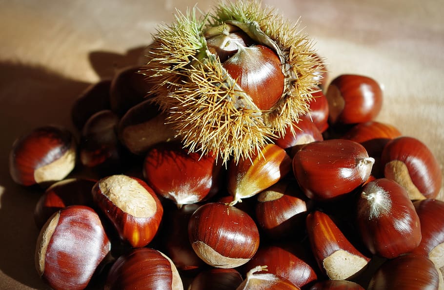 sweet chestnuts, maroni, chestnut, autumn decoration, nutrition, brown, tree fruit, spur, autumn fruit, prickly