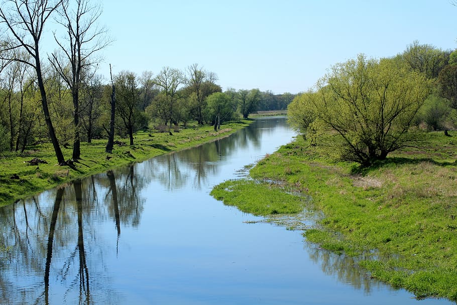 landscape, scenery, spring, green, water, tributary of the odra, peace of mind, tree, river, nature