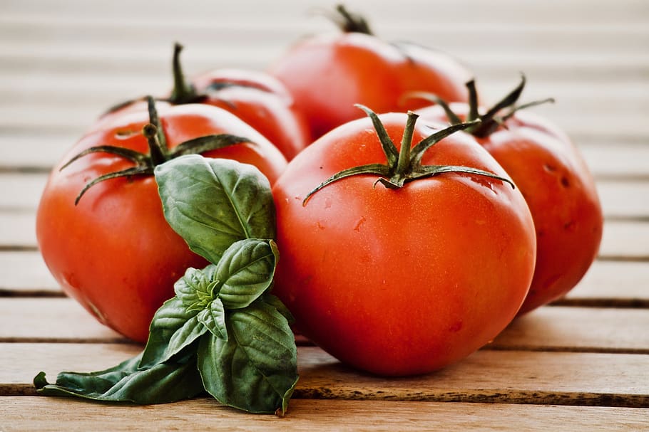 tomatoes, basil, food, alimentari, sano, cool, italian, mediterranean, nutrition, vegetarian