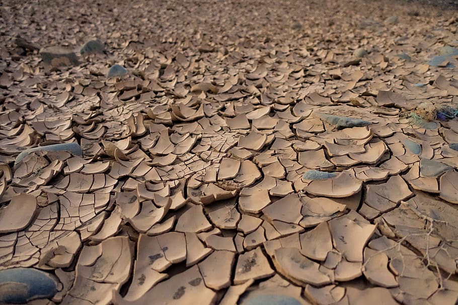 dry, mud, river base, drought, soil, earth, clay, ground, texture, cracks