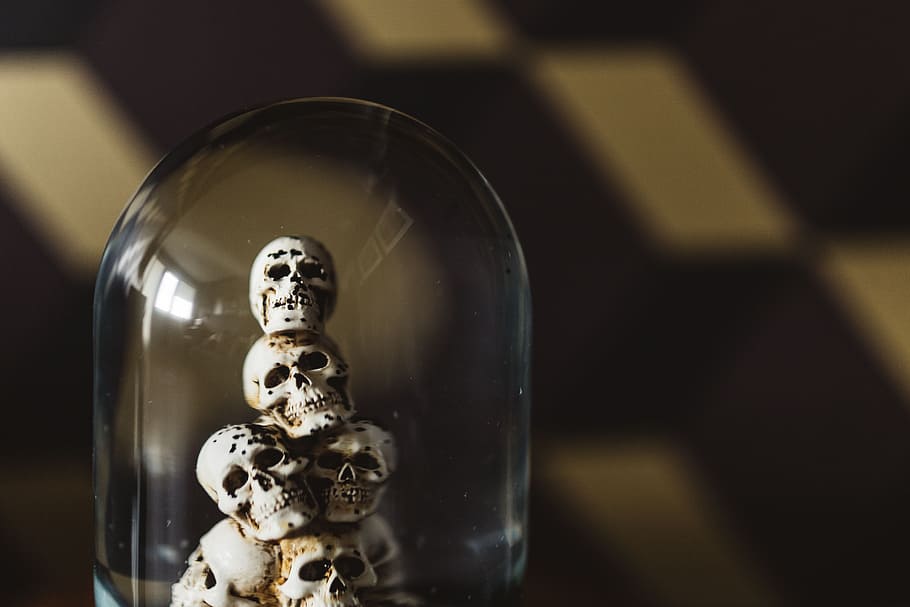globo de água, caveiras, decoração, dia das bruxas, assustador, outubro, globo de neve, dentro de casa, esqueleto, esqueleto humano