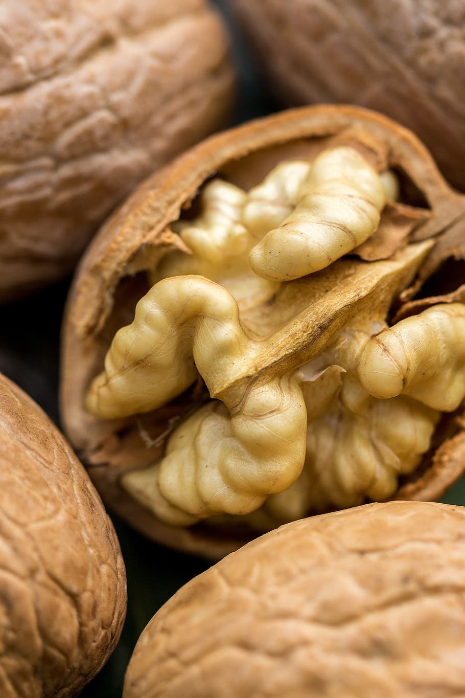 walnut, nut, flora, nature, plant, close up, macro, fruit, delicious, shell