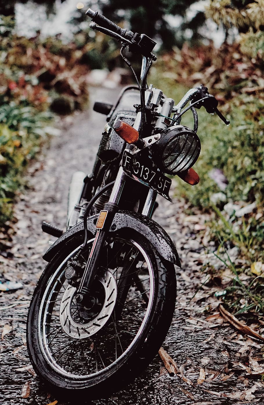 vintage, motorbike, black, retro, park, path, road, transport, adventure, classic