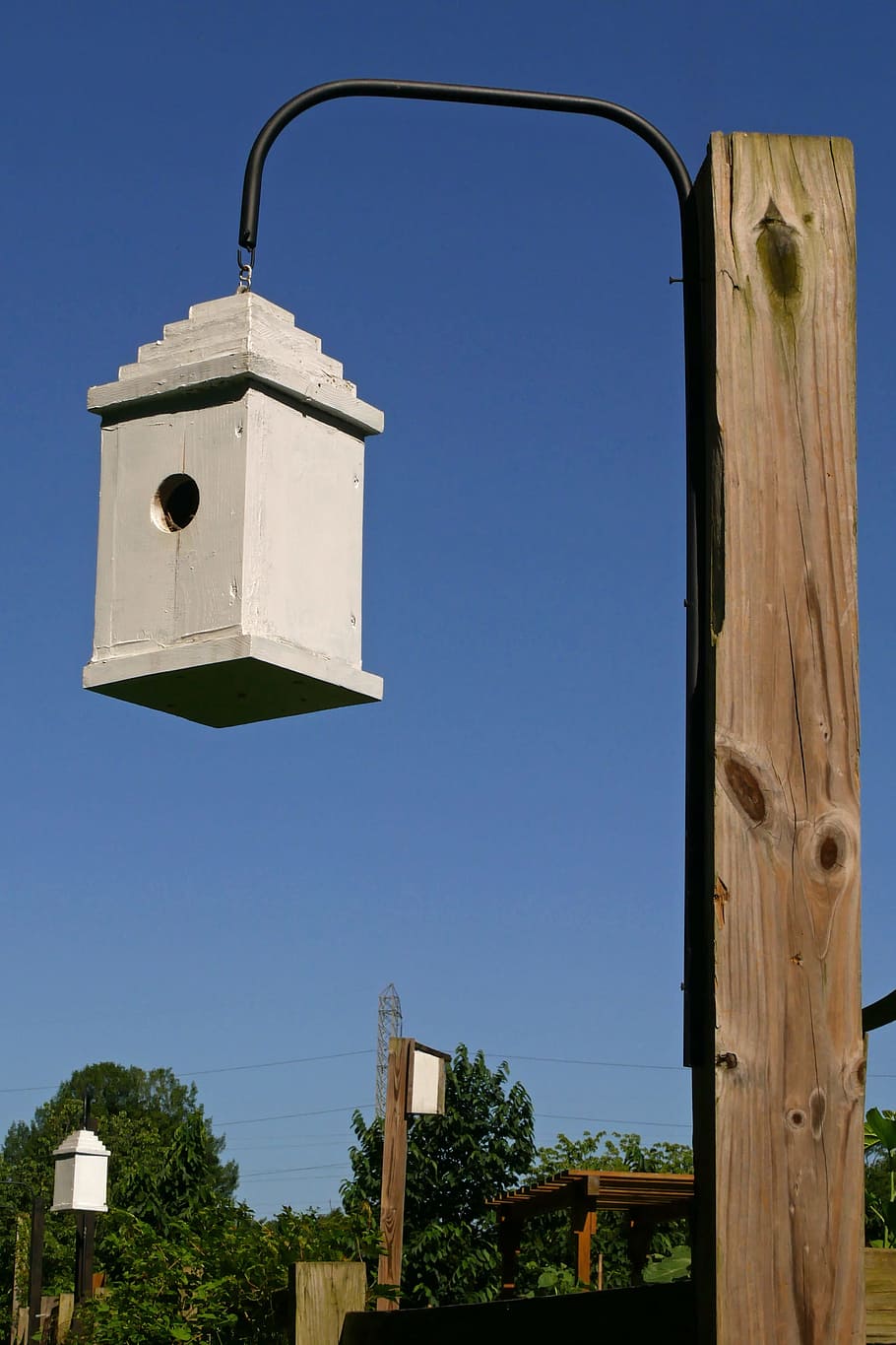 swift, birdhouses, backyard garden, garden., bird, birdhouse, aviary, wooden, wood, tree