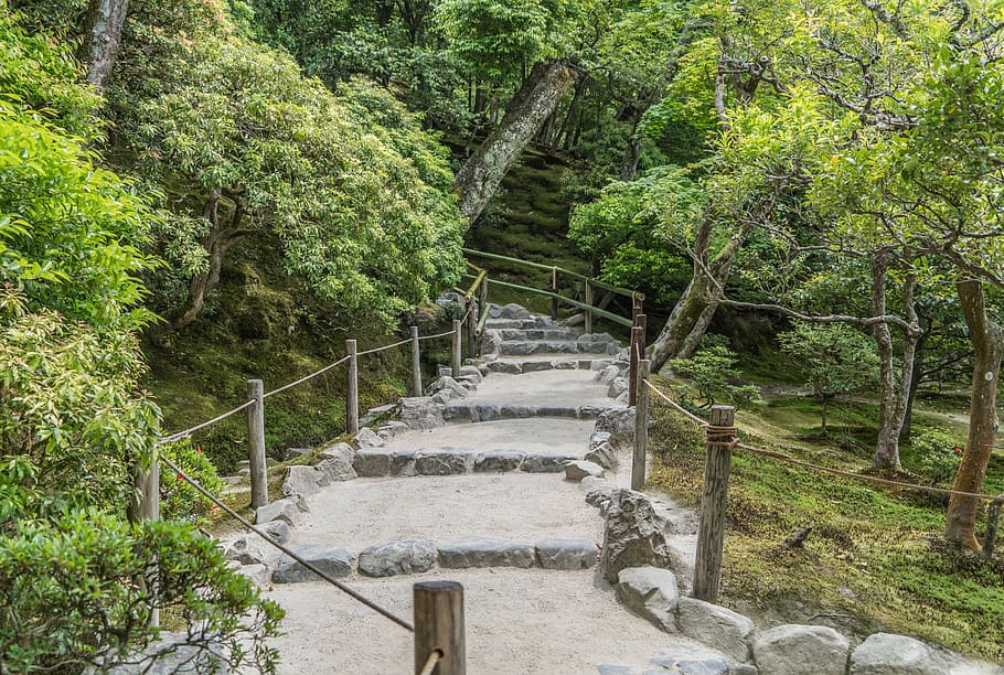 stone path, stairs, forest, japan, kyoto, moss, nature, green, outdoor, hiking