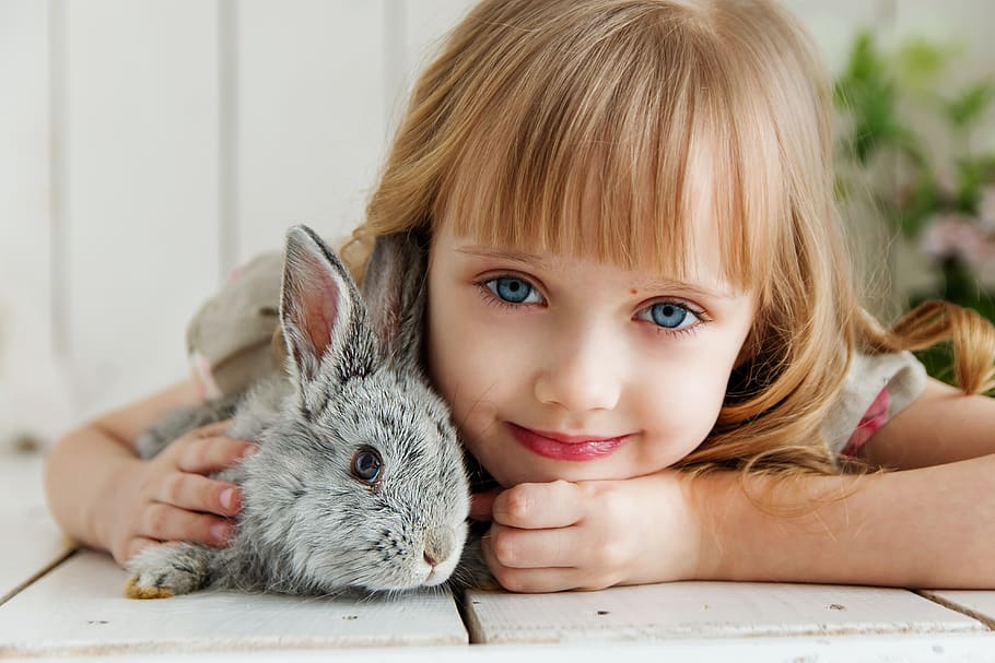 rabbit, hare, baby, girl, studio, toy, beautiful, cute, kids, flowers