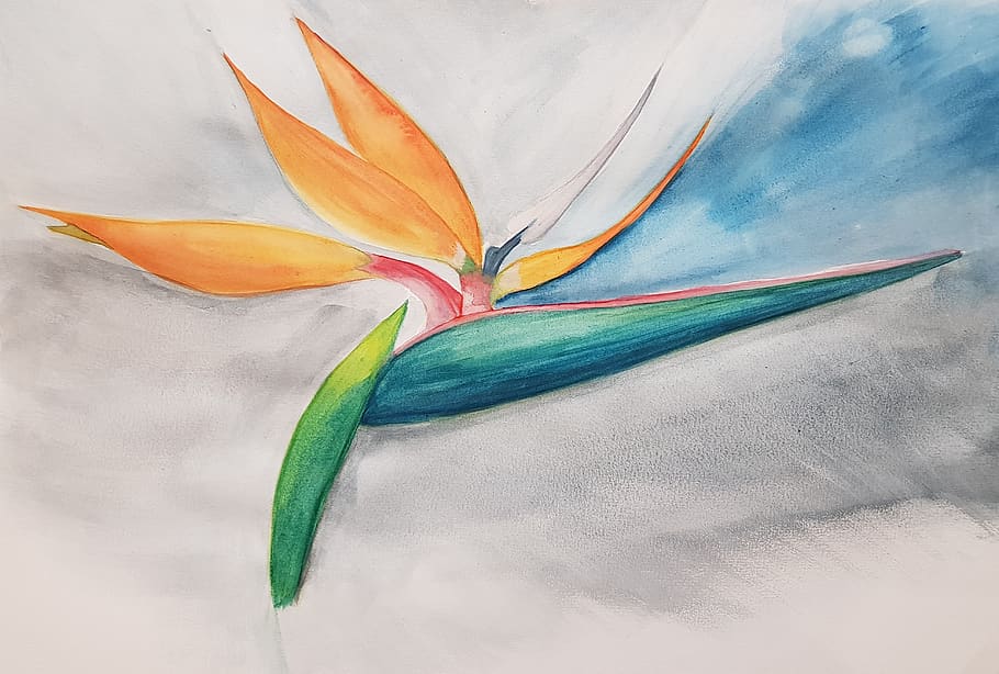watercolor, flower, nature, artistic, bird of paradise, drawing, emotion, multi colored, art and craft, paper