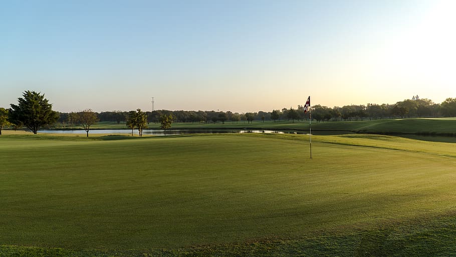 golf, golf course, golfing, green, grass, field, golfers, nature, landscape, putting
