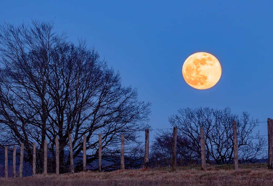 full moon, super moon, moon, blue hour, moonlight, sky, lunar, mood, twilight, landscape