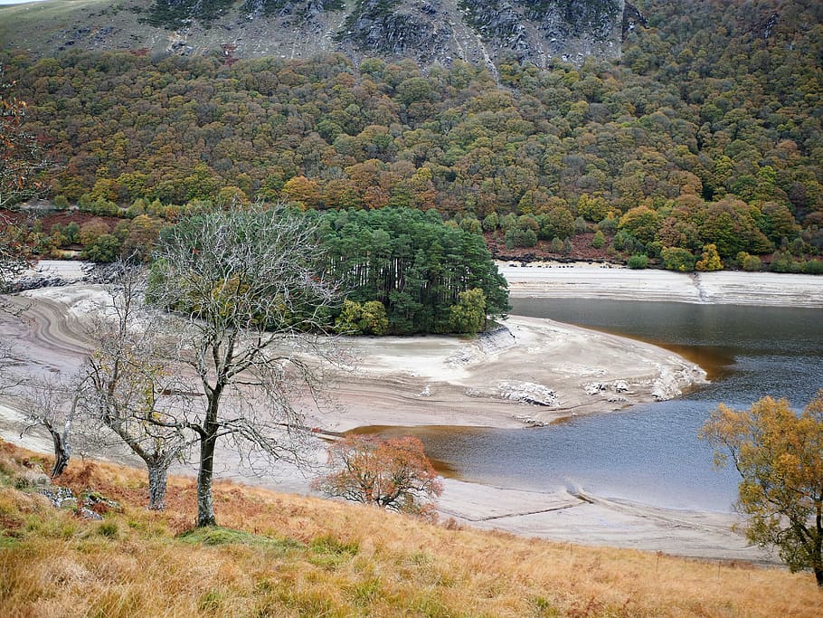 reservoir, drought, landscape, nature, dehydrated, mountains, dry, lake, wales, tree