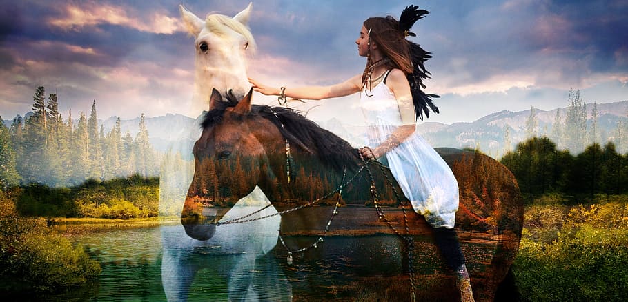 selvagem, cavalos, nativo, beleza, cavalo, animais selvagens, nuvem - céu, doméstico, céu, mamífero