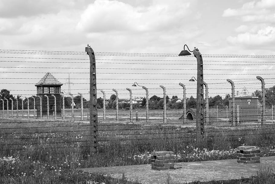 auschwitz, birkenau, the holocaust, the war, concentration camps, nazism, story, prison, jews, europe