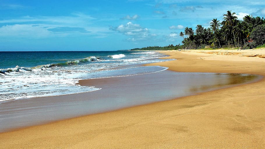 palmeras, playa, en la mañana, agua, las olas, espuma de mar, océano índico, arena, parte monolítica de las aguas, costa