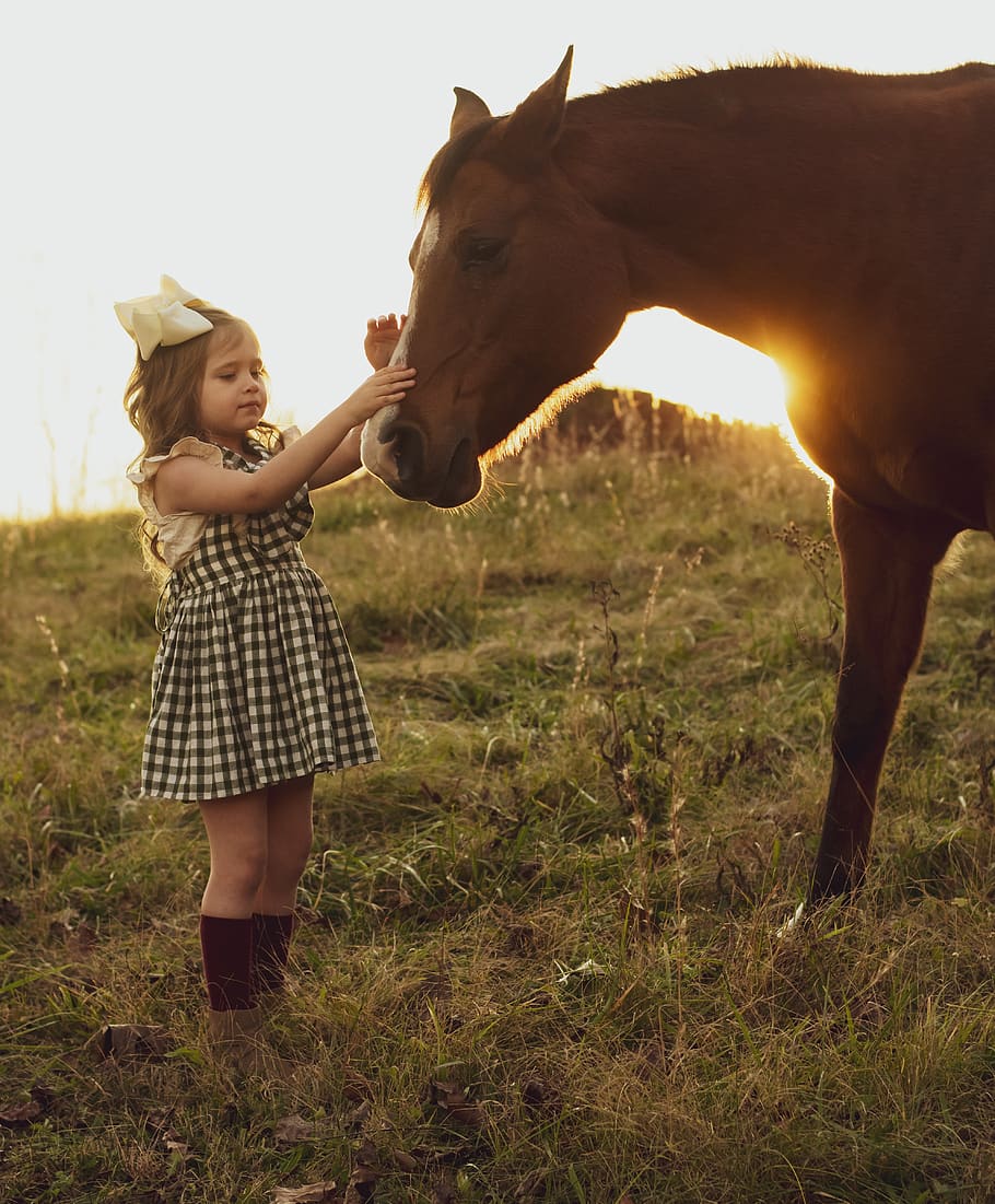 horse, sunset, girl, child, field, farm, dress, ranch, wallpaper for girls, childhood