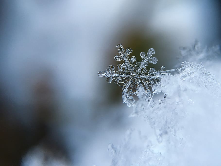copo de nieve, nieve, cristal, cristal de nieve, frío, macro, invierno, escama, hielo, escarcha