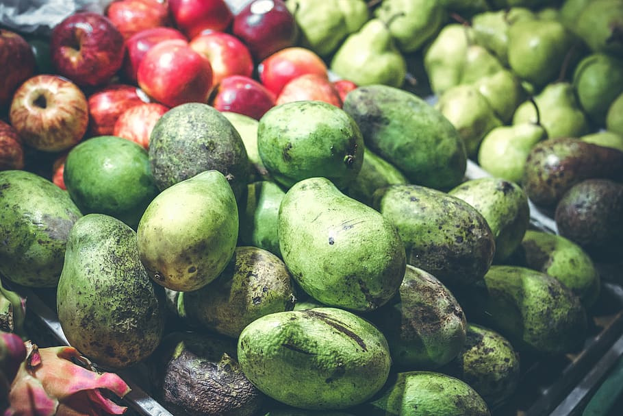 mango, mango fruits, mangoes, food and drink, food, healthy eating, wellbeing, freshness, green color, abundance