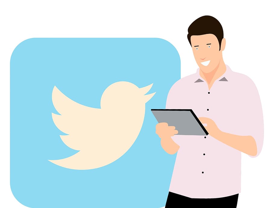 promoción de twitter, social, hombre de marketing de medios, dispositivos., twitter, redes sociales, aplicación, como, tableta, joven