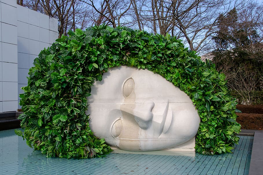 sculpture, hakone open air museum, face, stone, head, hair, plant, representation, tree, statue