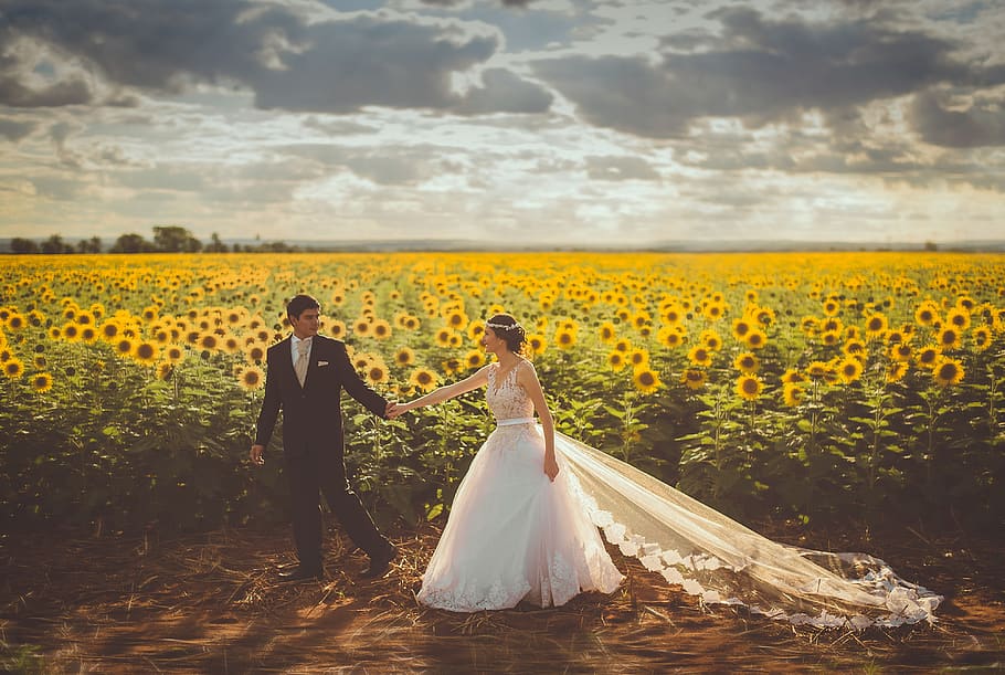 bride, couple, field, groom, landscape, love, outdoors, people, romance, sunflower field