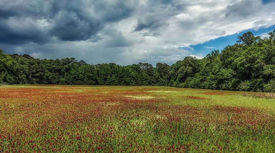 mississippi, panorama, meadow, field, landscape, america, mood, sky, clouds, sunset