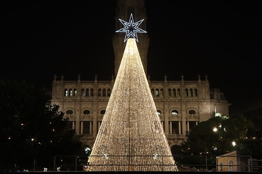 christmas, oporto, christmas tree, lights, night, architecture, built structure, building exterior, celebration, tree