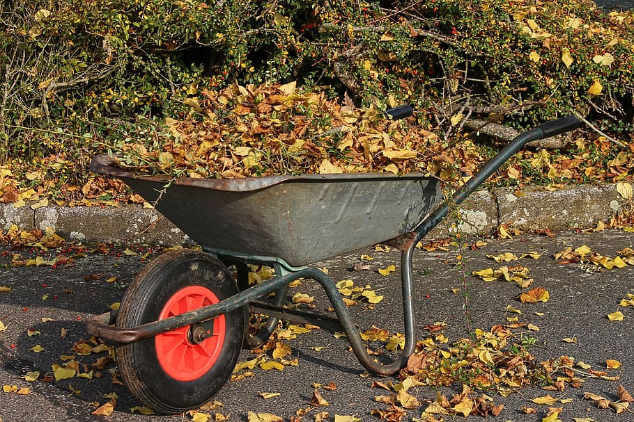 wheelbarrows, wheelbarrow, leaves, collect, recharge, gardening, garden, transport, work, cart