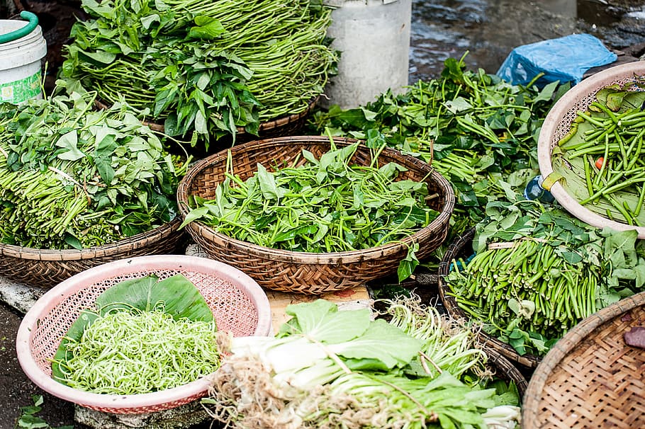 bonanza erva, asiático, fresco, verde, erva, ervas, ingrediente, ingredientes, cesta, recipiente