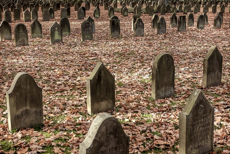 Разрушенные кладбища. Еврейское кладбище Гамбурга Ольсдорф. Разрушенное кладбище. Обои на рабочий стол кладбище. Смерть европейца дерево.