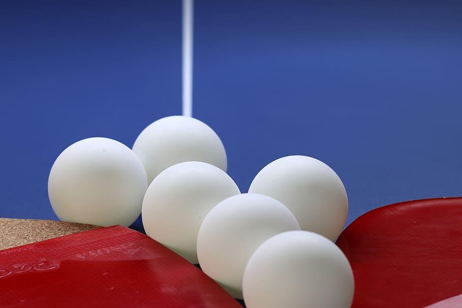 table tennis, sport, games, ball, play, table, racket, activities, hobby, ping-pong ball