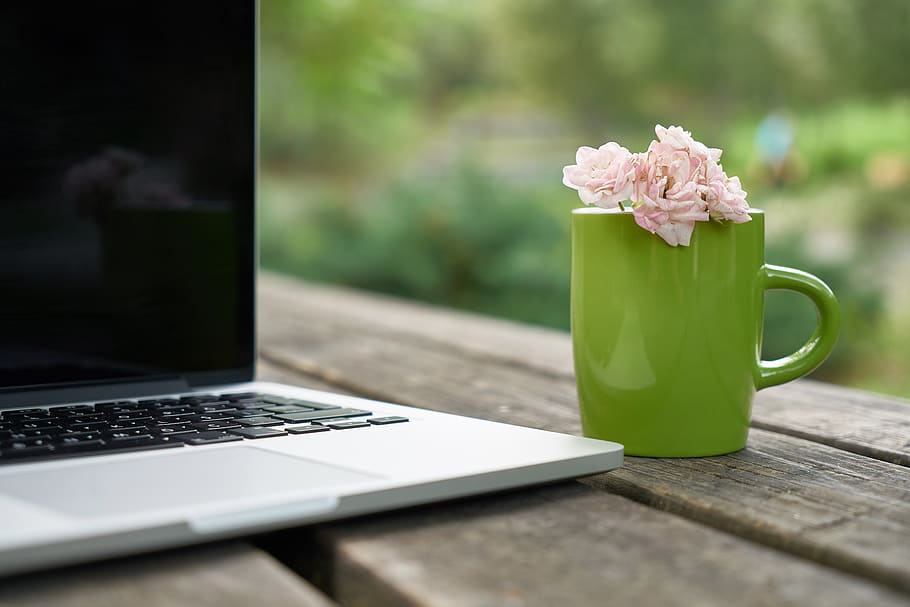 flower, glass, laptop, computer, technology, rose, romantic, screen, nature, decoration