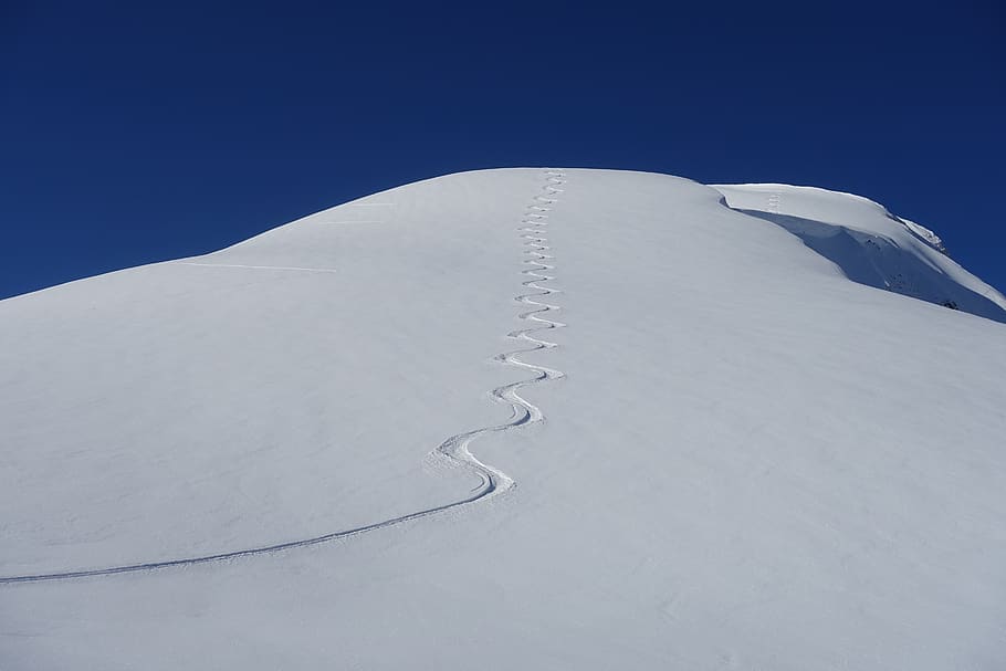 first line, winter, loneliness, nature, skiing, downhill skiing, powder snow, dream day, sulegg, jungfrau region