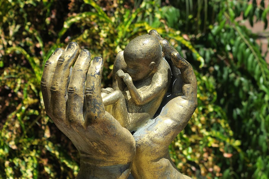 abortion, hand, hands, protective hand, fetus, protection, santo domingo, church, live, baby