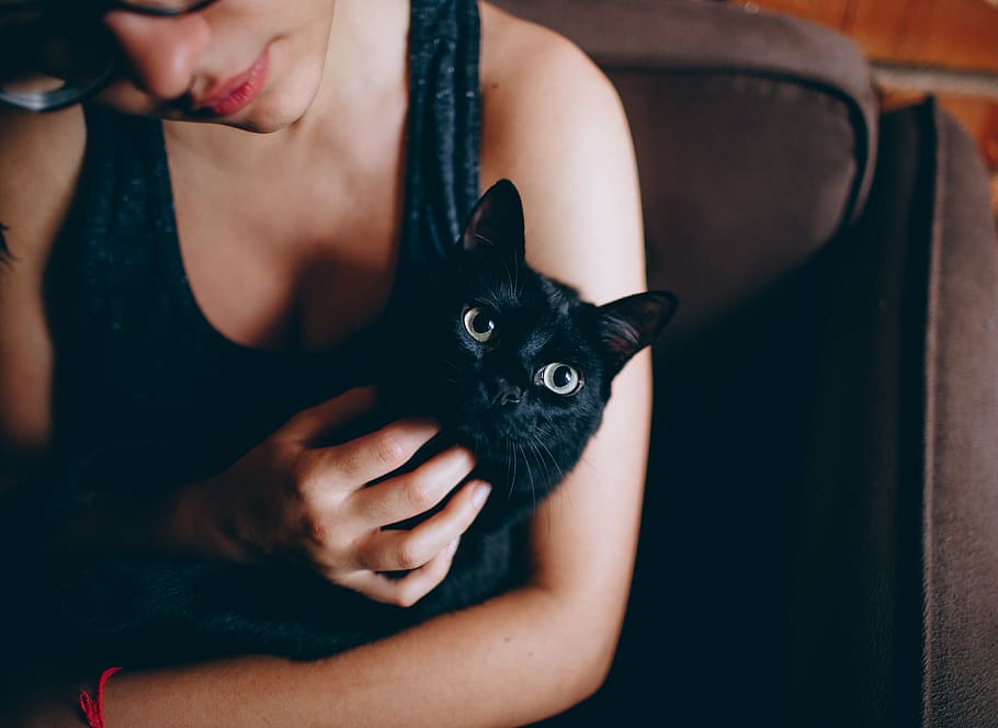 woman, black, cat, pet, kitten, animals, black dress, beautiful, pretty, female