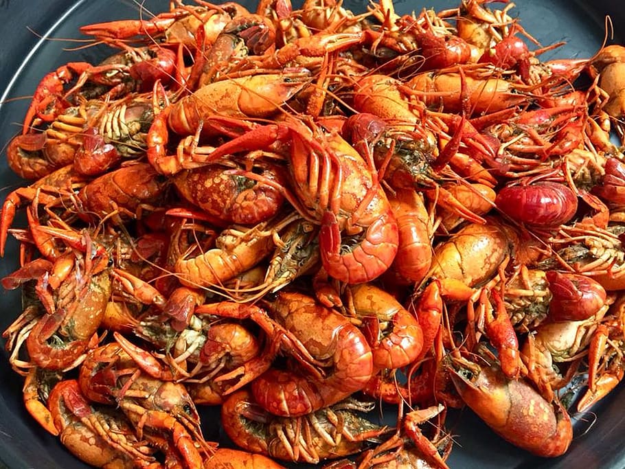crawfish, seafood, crayfish, cajun, louisiana, food, shellfish, crustacean, food and drink, freshness